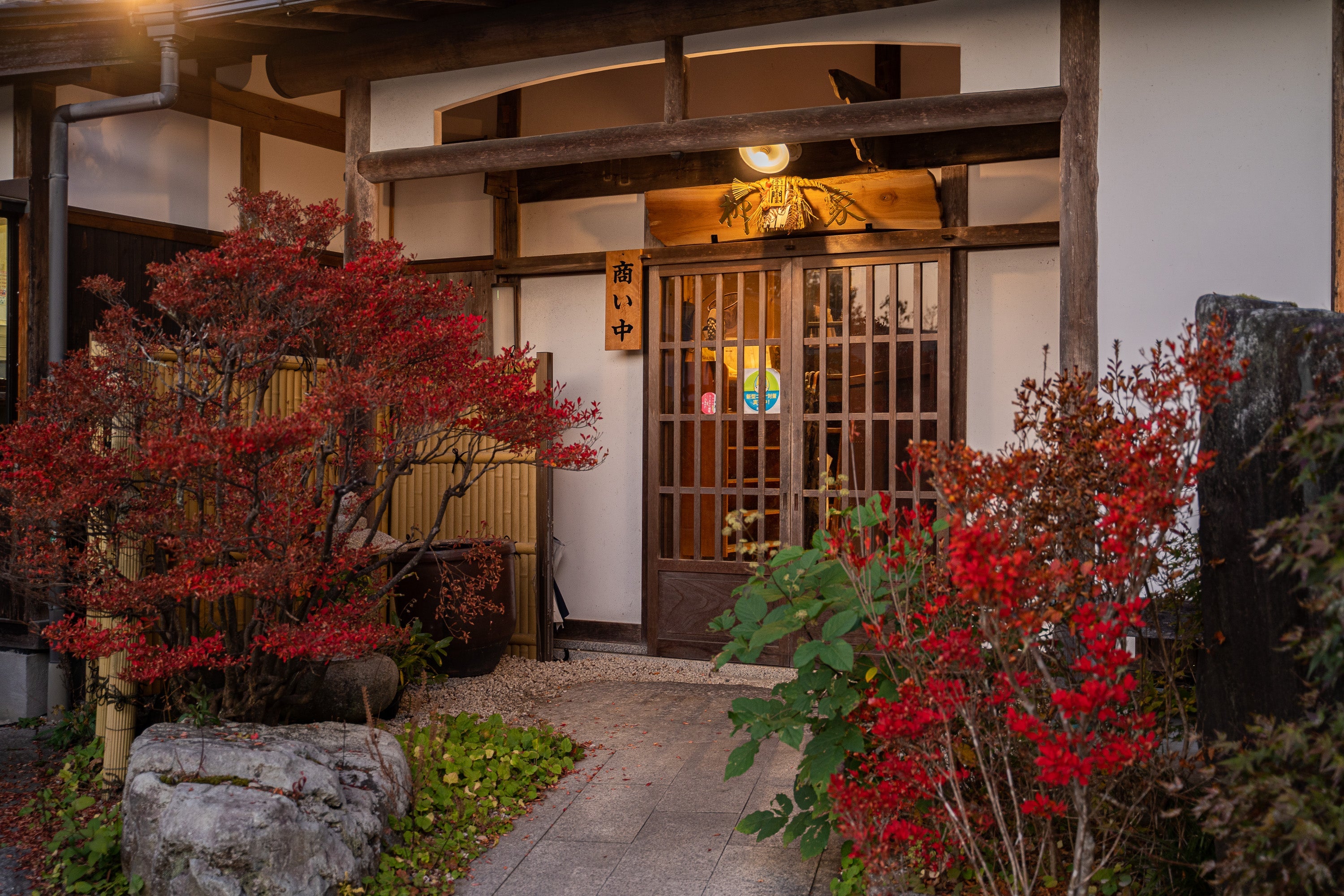 柳家:国産猪肉をオリジナル味噌ダレで煮込む猪鍋(2-3人前)●