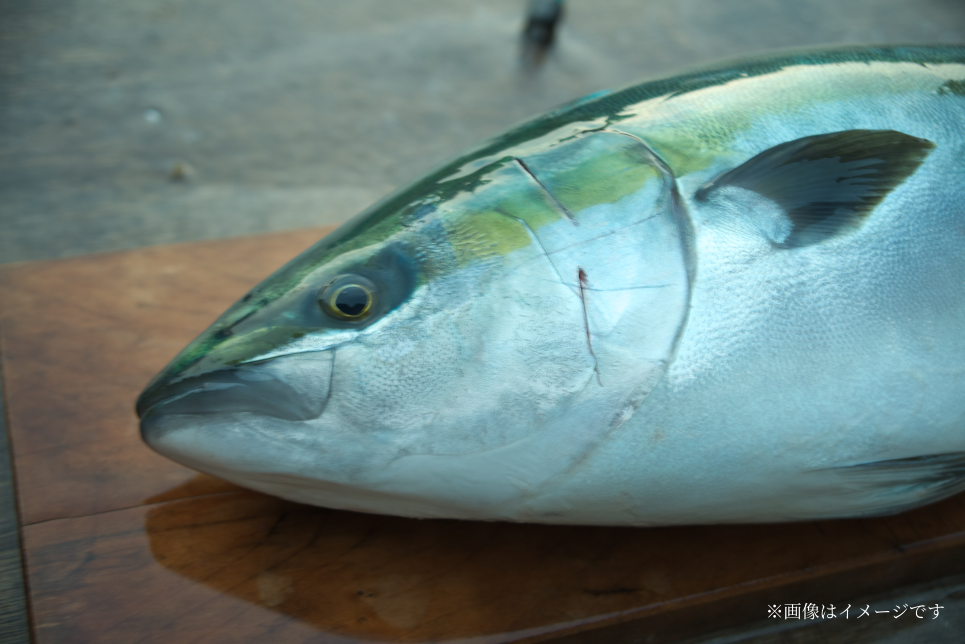 温石：鰤の煮付け２つセット
