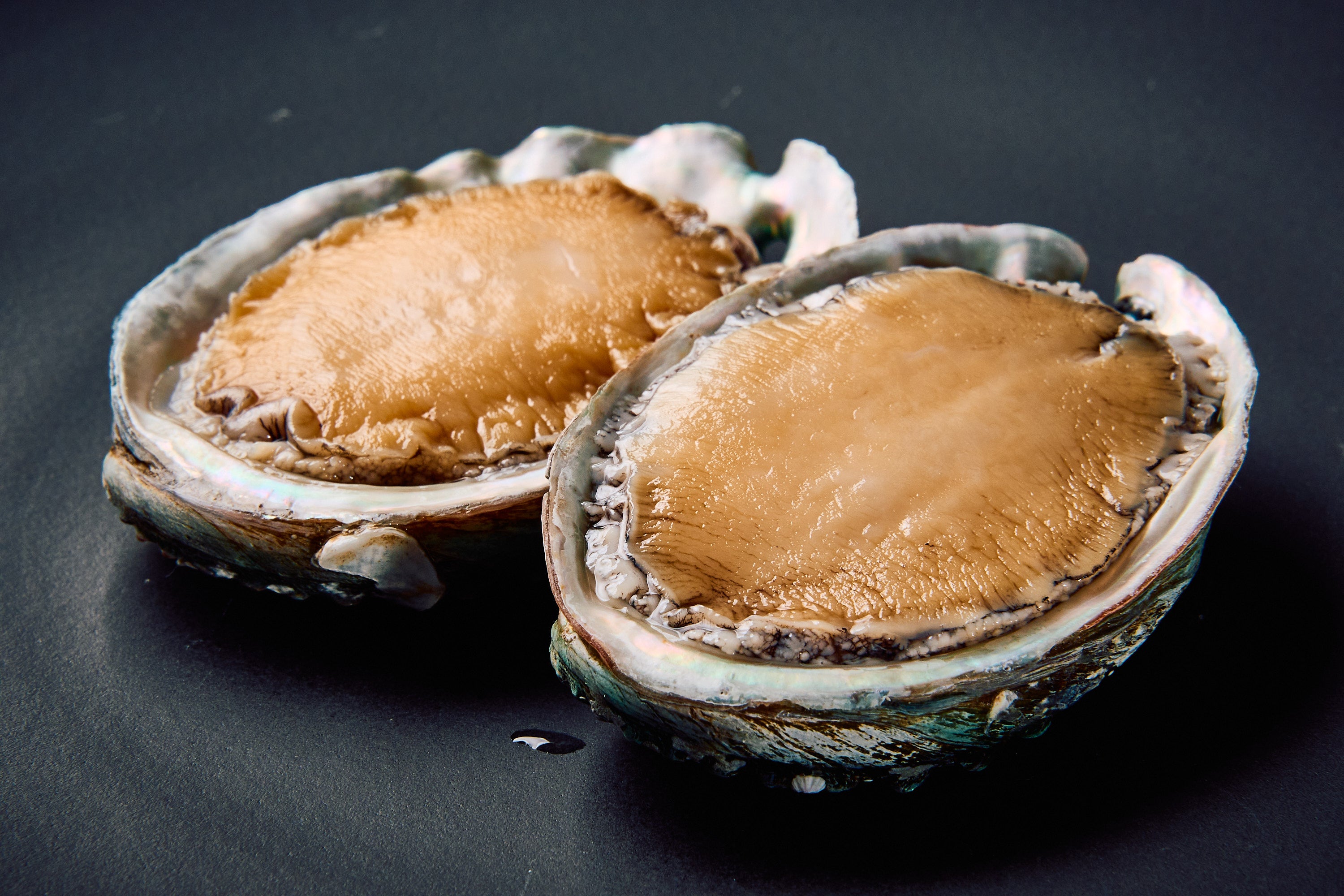 Goh：鮑と椎茸の焦がしバターソース　あおさリゾット添え