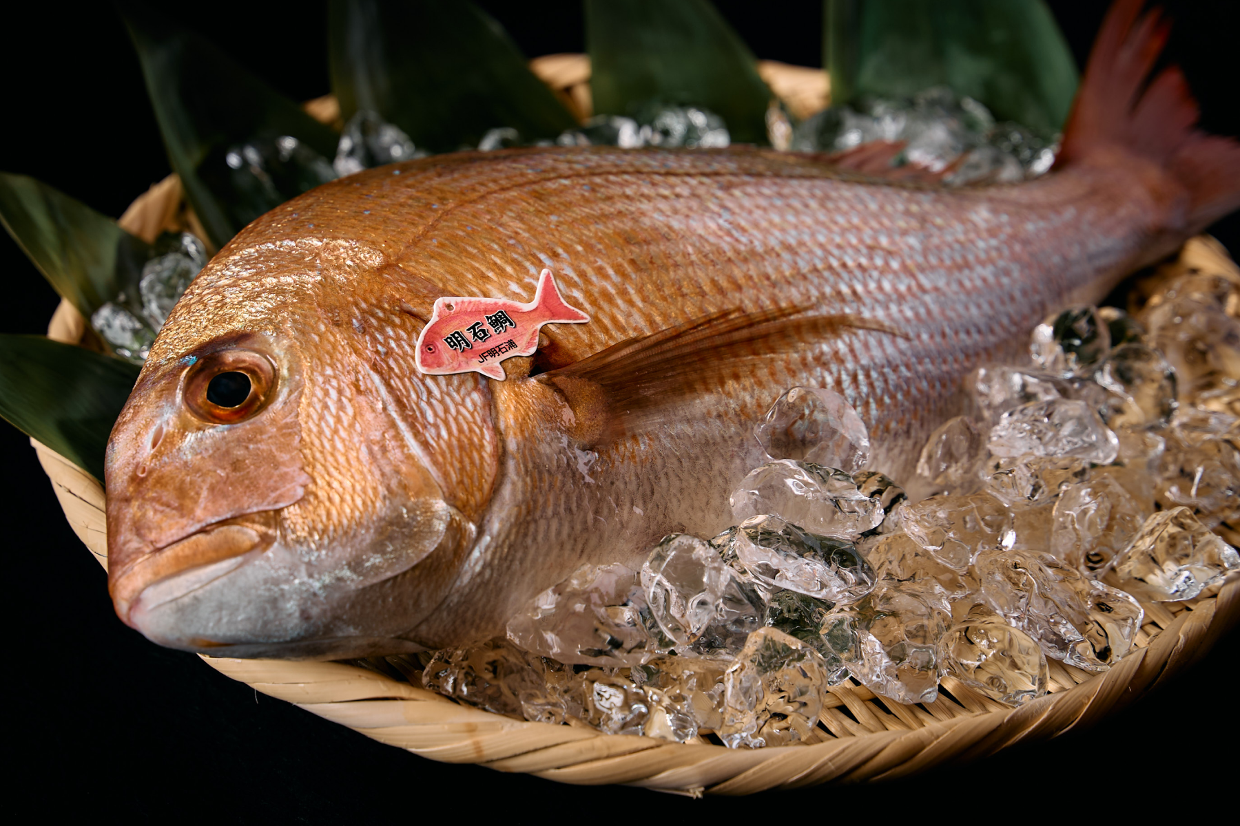 緒方：明石産天然真鯛と実山椒の炊き込みご飯