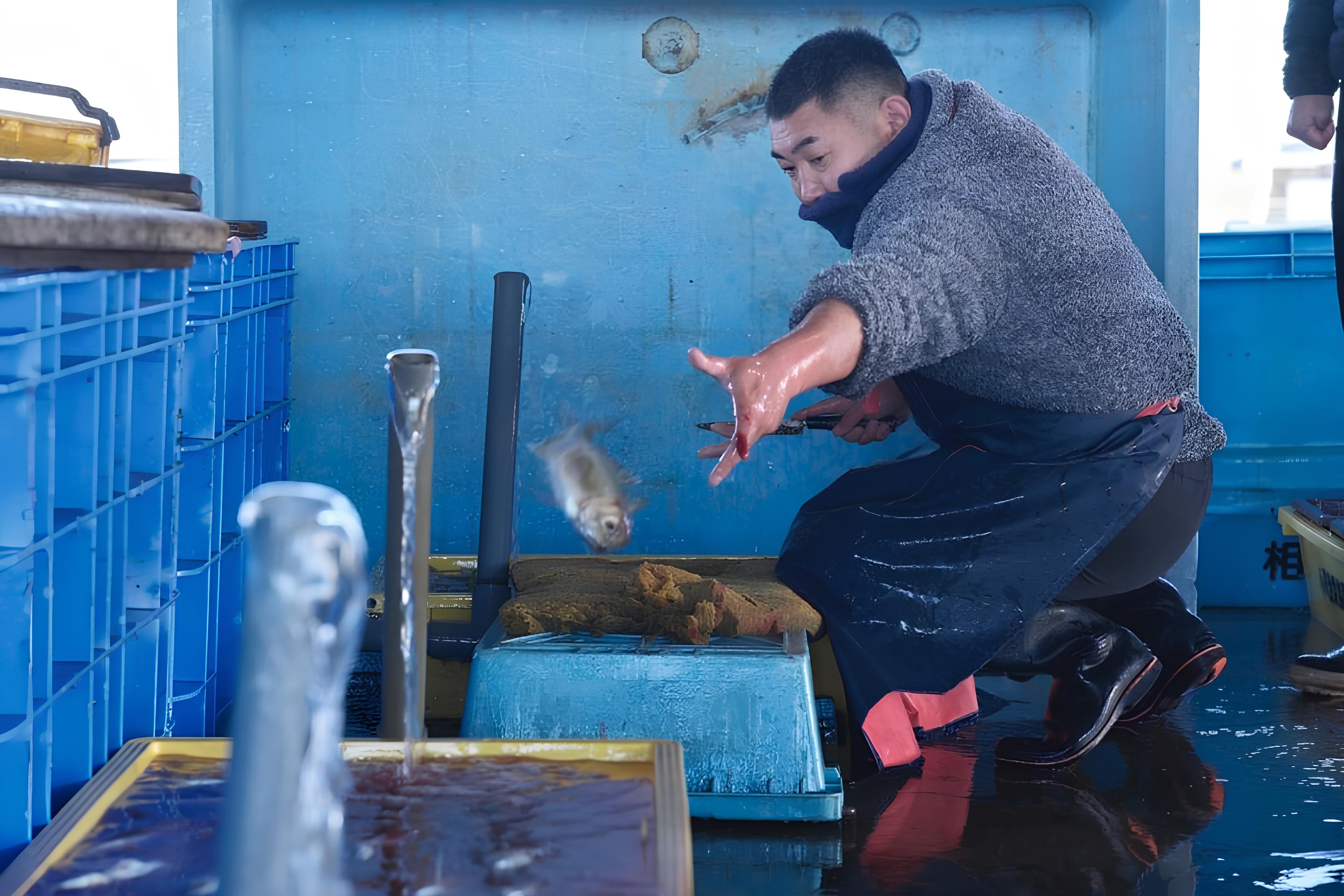 温石：金目鯛の煮付け・鰤の煮付けセット